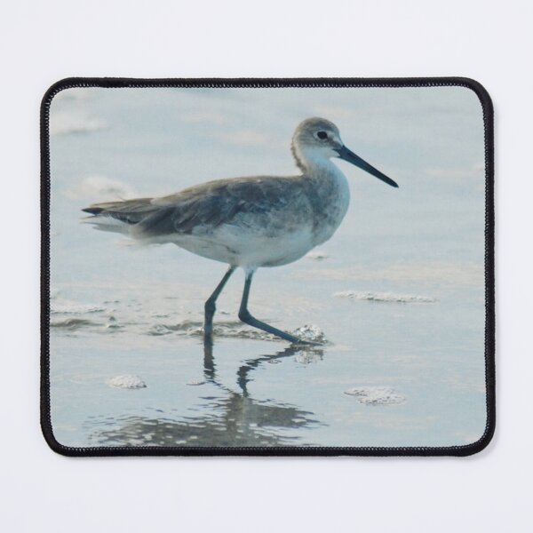 Item preview, Willet Bird Walking in the Waves (wait what?) designed and sold by thewaitwhatshop.