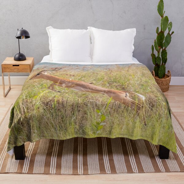 Item preview, Leaping, Jumping Impala Antelope designed and sold by SafariByMarisa.