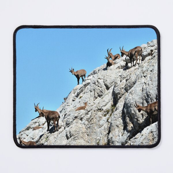 Item preview, Villard de Lans, mountain village in France designed and sold by franck380.