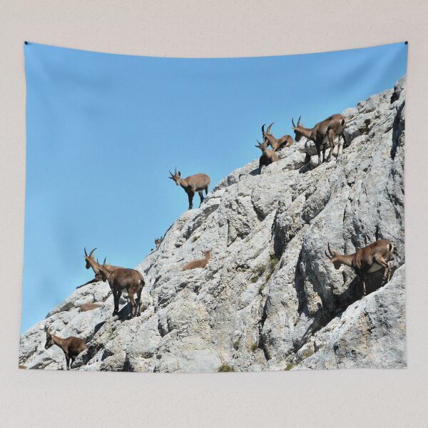 Item preview, Villard de Lans, mountain village in France designed and sold by franck380.
