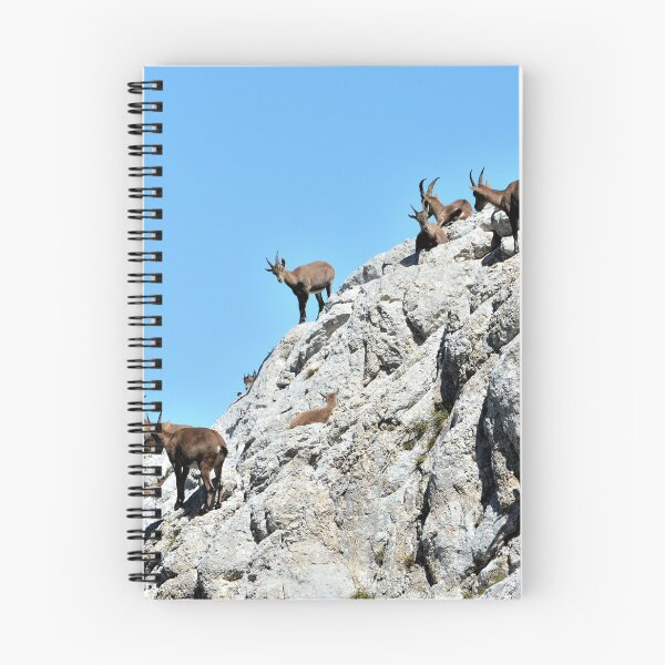 Item preview, Villard de Lans, mountain village in France designed and sold by franck380.