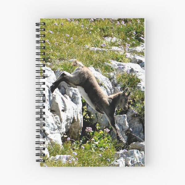 Item preview, Villard de Lans, mountain village in France designed and sold by franck380.
