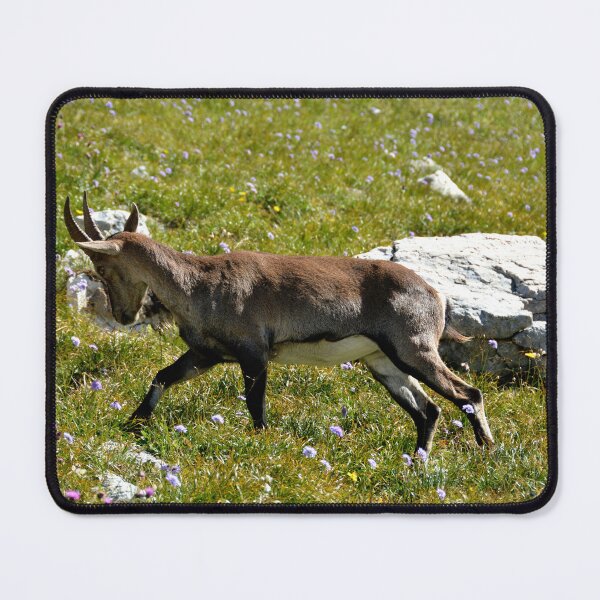Item preview, Villard de Lans, mountain village in France designed and sold by franck380.