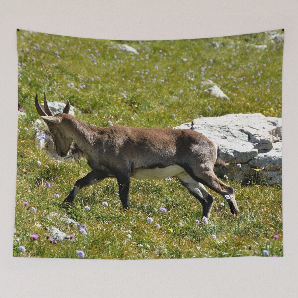 Item preview, Villard de Lans, mountain village in France designed and sold by franck380.