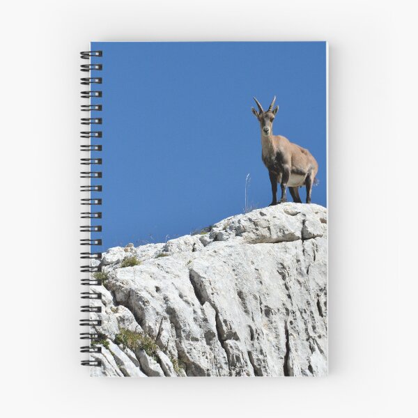 Item preview, Villard de Lans, mountain village in France designed and sold by franck380.