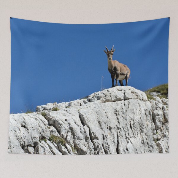 Item preview, Villard de Lans, mountain village in France designed and sold by franck380.