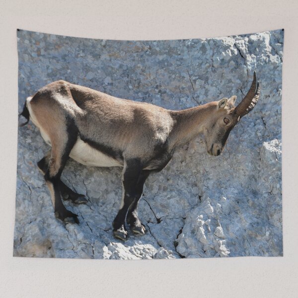 Item preview, Villard de Lans, mountain village in France designed and sold by franck380.