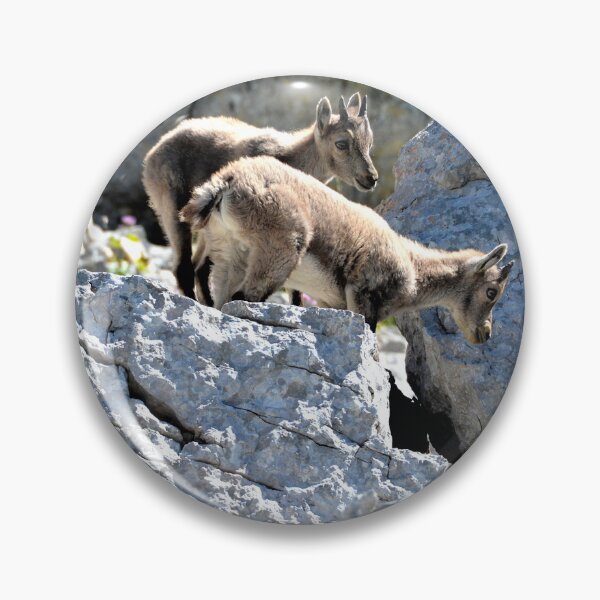 Item preview, Villard de Lans, mountain village in France designed and sold by franck380.