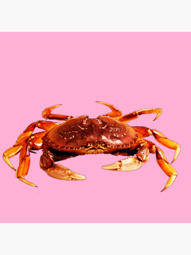 super crabe