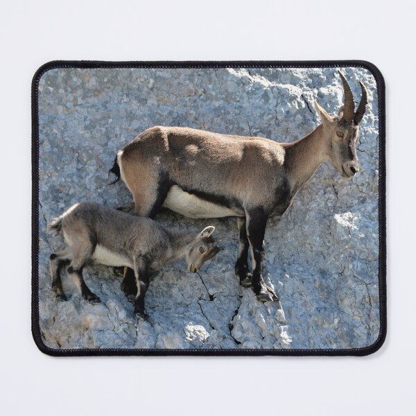 Item preview, Villard de Lans, mountain village in France designed and sold by franck380.