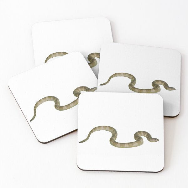Item preview, Spine-bellied Sea Snake (Hydrophis curtus) designed and sold by CNZdenek.