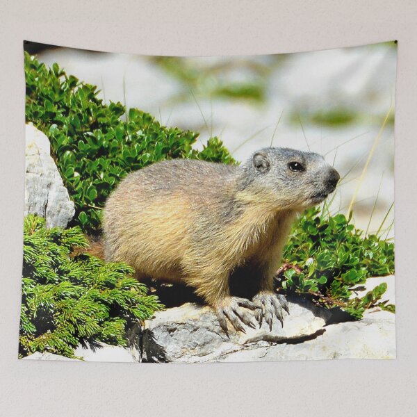 Item preview, Villard de Lans, mountain village in France designed and sold by franck380.