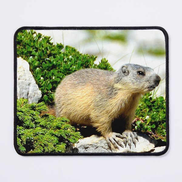 Item preview, Villard de Lans, mountain village in France designed and sold by franck380.