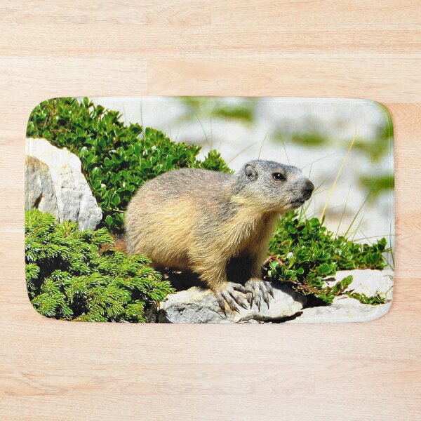 Item preview, Villard de Lans, mountain village in France designed and sold by franck380.