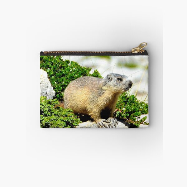 Item preview, Villard de Lans, mountain village in France designed and sold by franck380.