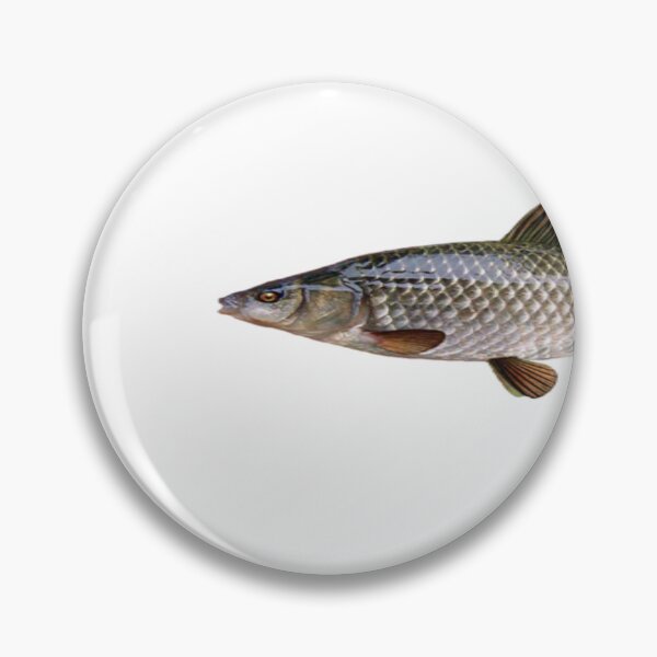 Item preview, stupid long fish designed and sold by slipperyfish36.