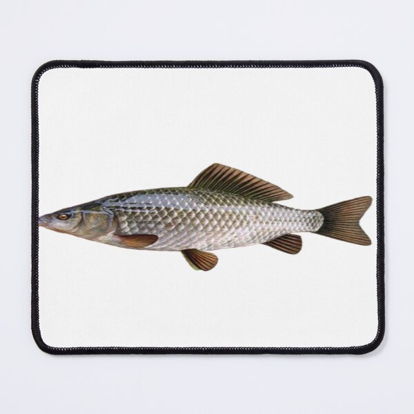 Item preview, stupid long fish designed and sold by slipperyfish36.