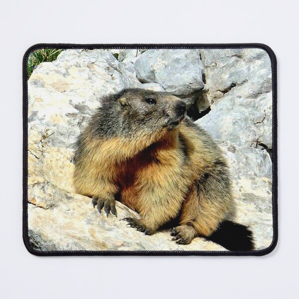 Item preview, Villard de Lans, mountain village in France designed and sold by franck380.