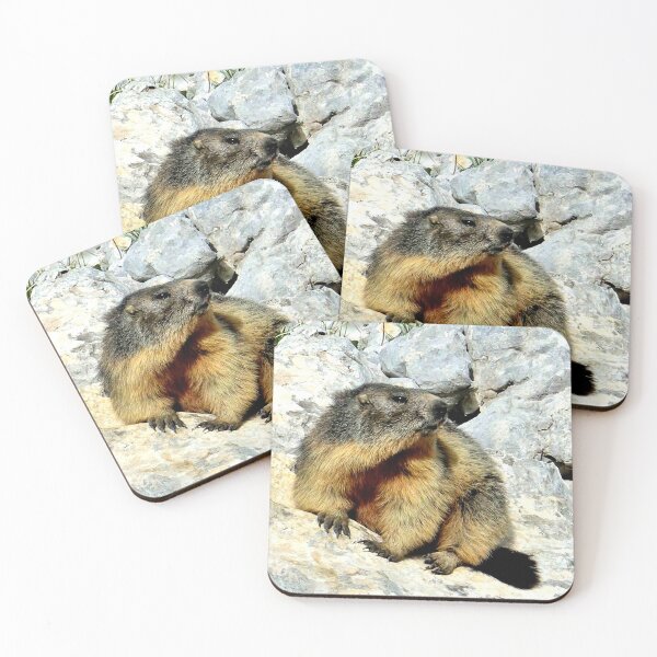 Item preview, Villard de Lans, mountain village in France designed and sold by franck380.