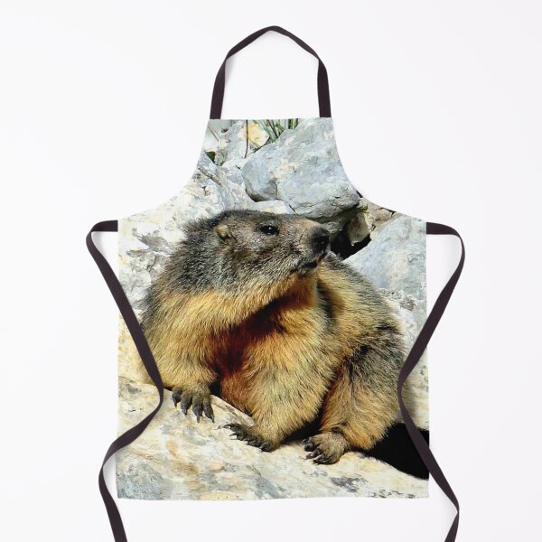 Item preview, Villard de Lans, mountain village in France designed and sold by franck380.