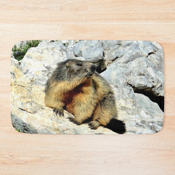 Item preview, Villard de Lans, mountain village in France designed and sold by franck380.