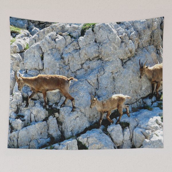 Item preview, Villard de Lans, mountain village in France designed and sold by franck380.