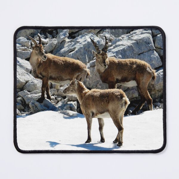 Item preview, Villard de Lans, mountain village in France designed and sold by franck380.
