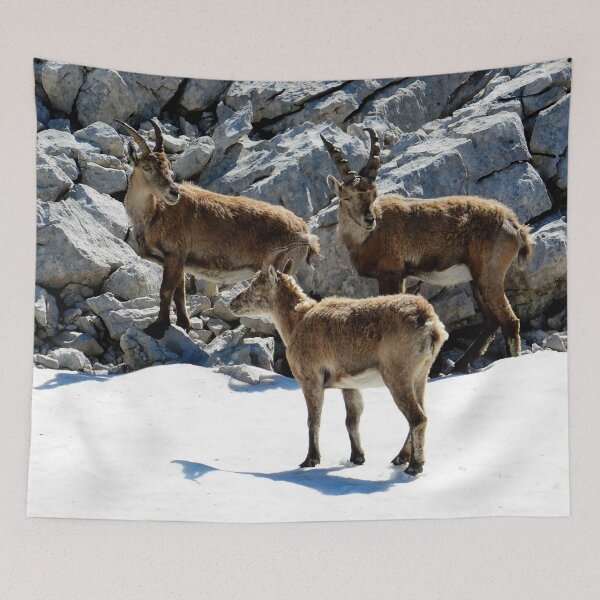 Item preview, Villard de Lans, mountain village in France designed and sold by franck380.