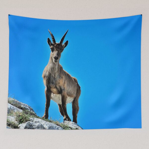 Item preview, Villard de Lans, mountain village in France designed and sold by franck380.