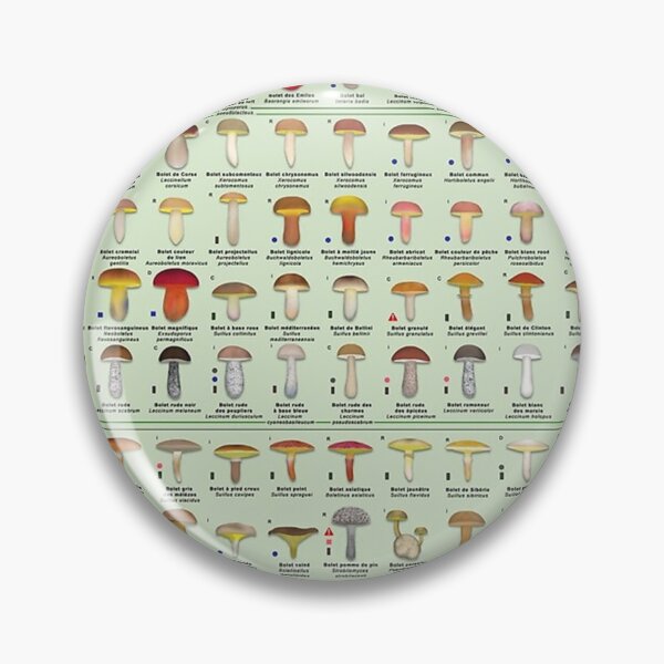 Item preview, Chart of all European boletes species (In french) designed and sold by fanniecorey.