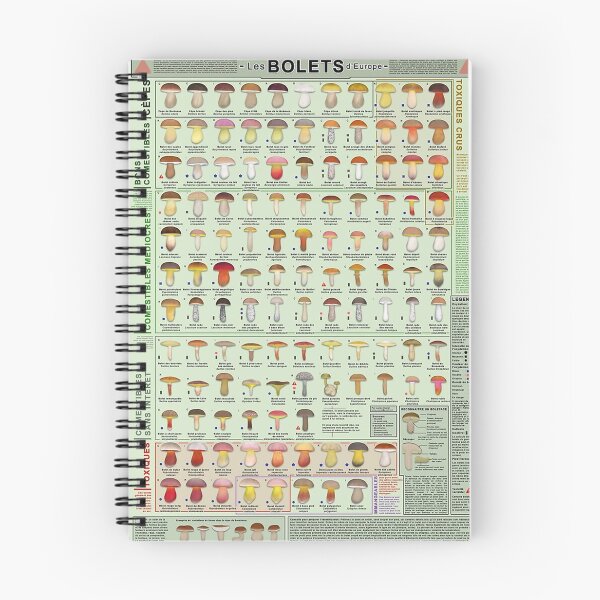 Item preview, Chart of all European boletes species (In french) designed and sold by fanniecorey.