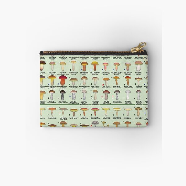 Item preview, Chart of all European boletes species (In french) designed and sold by fanniecorey.