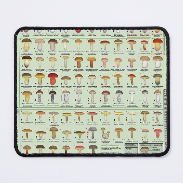 Item preview, Chart of all European boletes species (In french) designed and sold by fanniecorey.