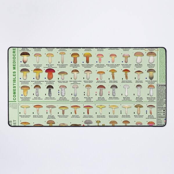 Item preview, Chart of all European boletes species (In french) designed and sold by fanniecorey.