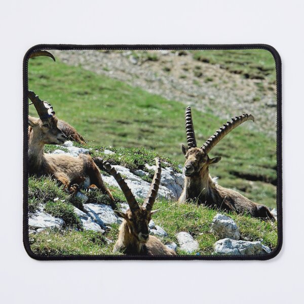 Item preview, Villard de Lans, mountain village in France designed and sold by franck380.