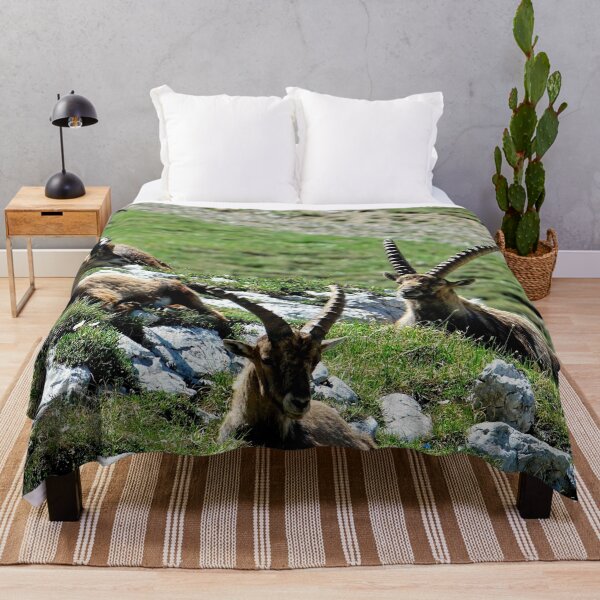 Item preview, Villard de Lans, mountain village in France designed and sold by franck380.