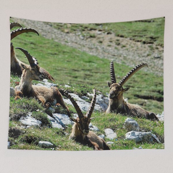 Item preview, Villard de Lans, mountain village in France designed and sold by franck380.