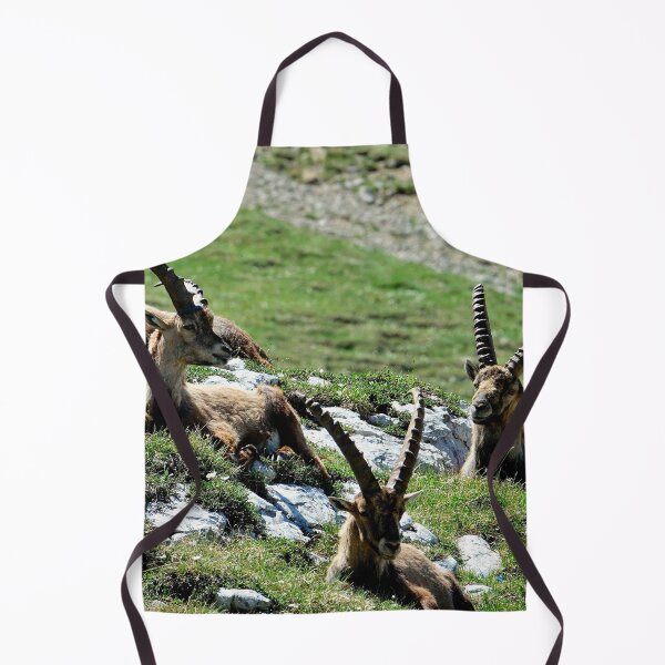 Item preview, Villard de Lans, mountain village in France designed and sold by franck380.