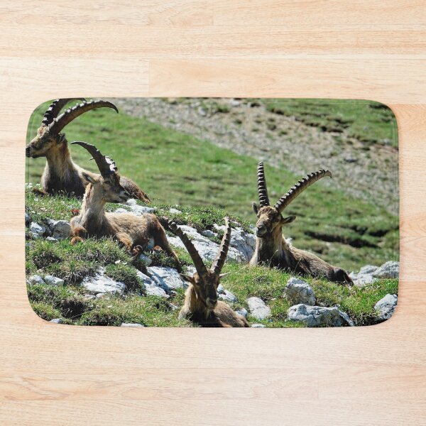 Item preview, Villard de Lans, mountain village in France designed and sold by franck380.