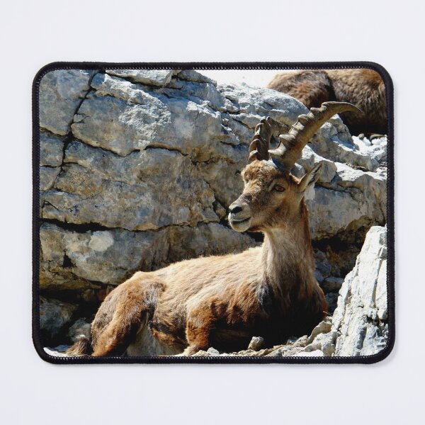 Item preview, Villard de Lans, mountain village in France designed and sold by franck380.