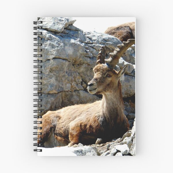 Item preview, Villard de Lans, mountain village in France designed and sold by franck380.