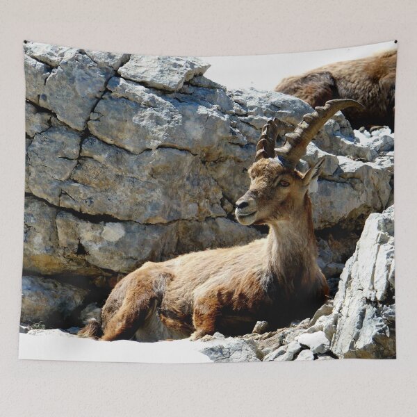 Item preview, Villard de Lans, mountain village in France designed and sold by franck380.