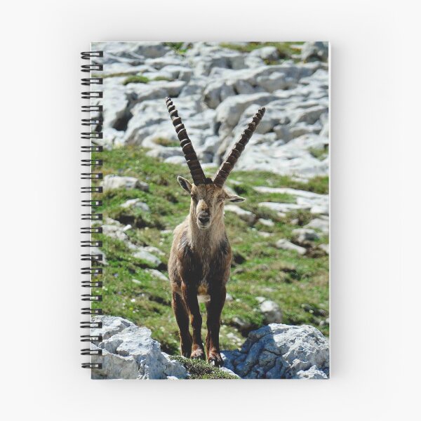 Item preview, Villard de Lans, mountain village in France designed and sold by franck380.