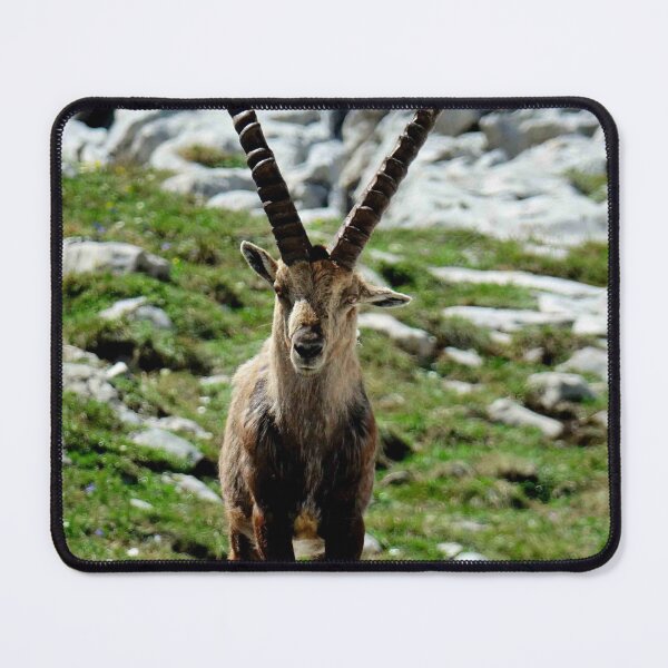 Item preview, Villard de Lans, mountain village in France designed and sold by franck380.