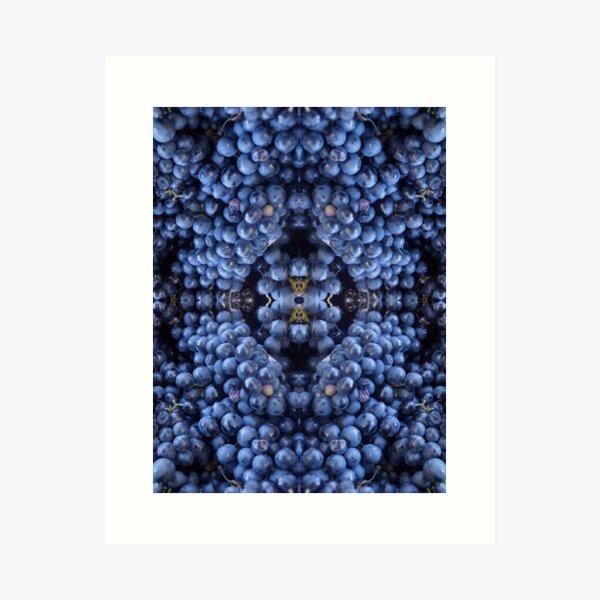 A Grape Design. Adelaide Artist Avril Thomas at Magpie Springs Art Print