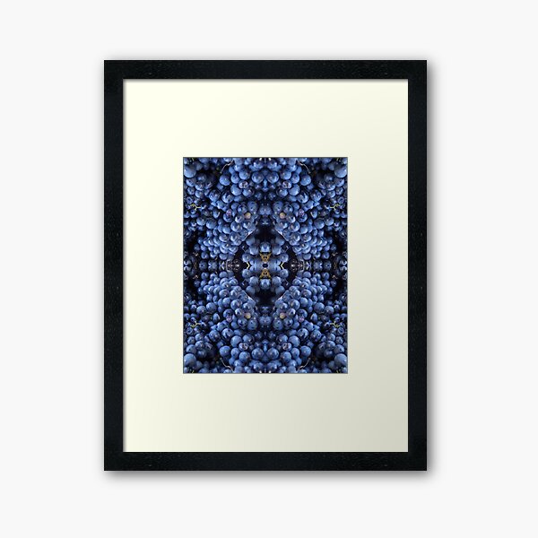 A Grape Design. Adelaide Artist Avril Thomas at Magpie Springs Framed Art Print