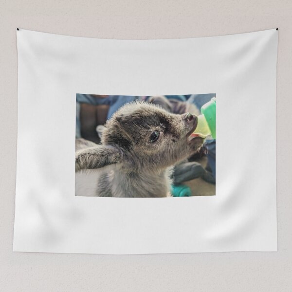 Item preview, Introducing Happy designed and sold by TheRealDanniX.