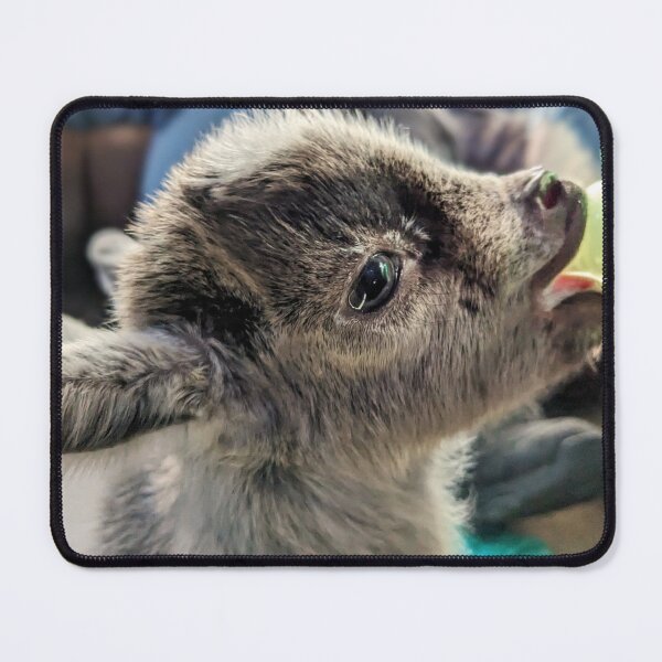 Item preview, Introducing Happy designed and sold by TheRealDanniX.