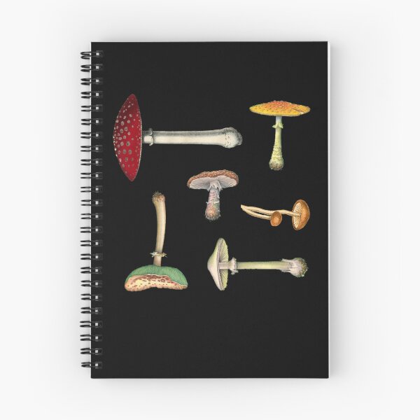 Item preview, MUSHROOM MEDLEY Mini Sticker Pack designed and sold by UbaldoKautzer.