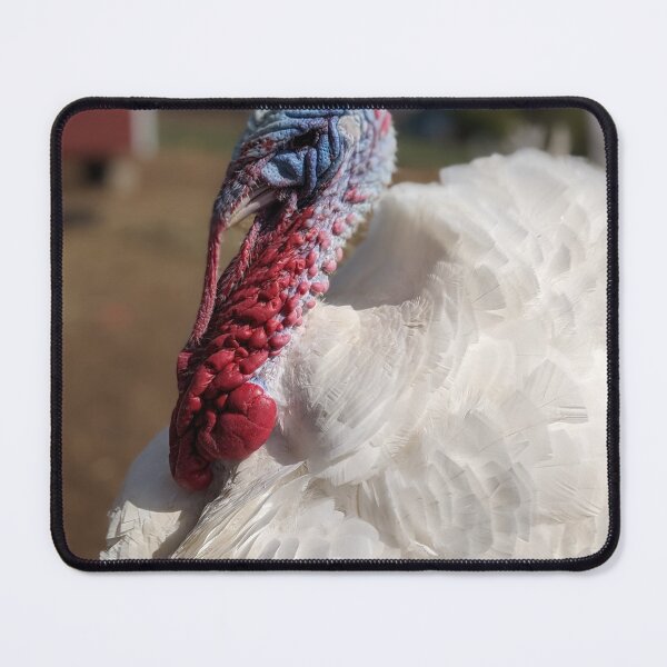 Item preview, Big Bird the Turkey designed and sold by TheRealDanniX.